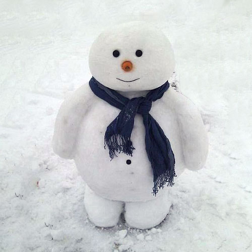 عکس آدم برفی طبیعی