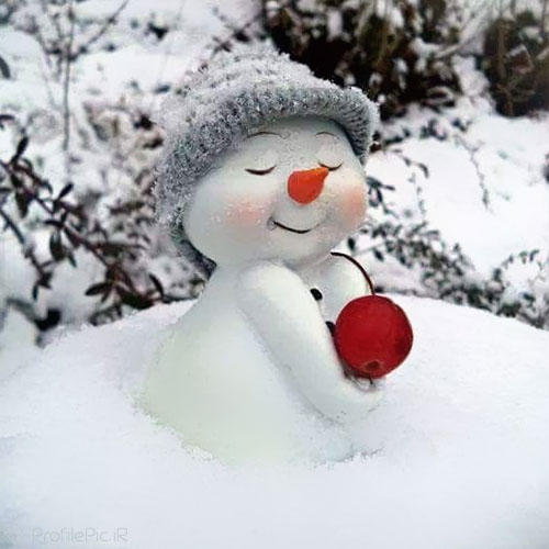 عکس آدم برفی طبیعی
