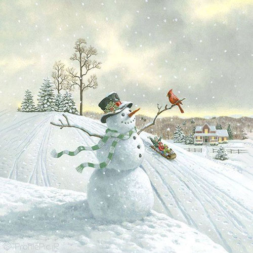 عکس آدم برفی طبیعی