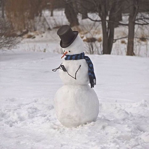 عکس آدم برفی طبیعی