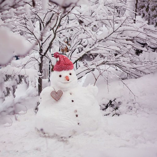 عکس آدم برفی طبیعی