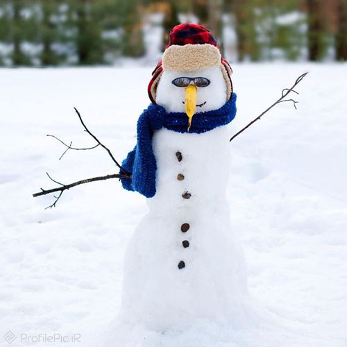 عکس آدم برفی طبیعی