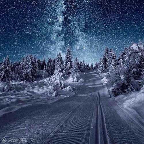منظره برفی در شب