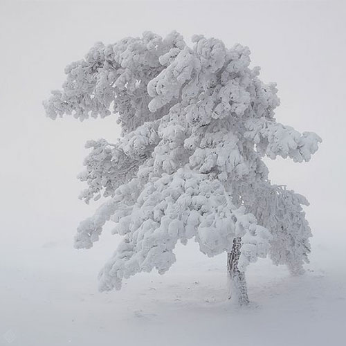 عکس پروفایل زیبا از روز برفی
