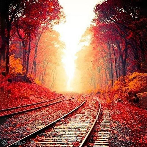 عکس ریل قطار در پاییز