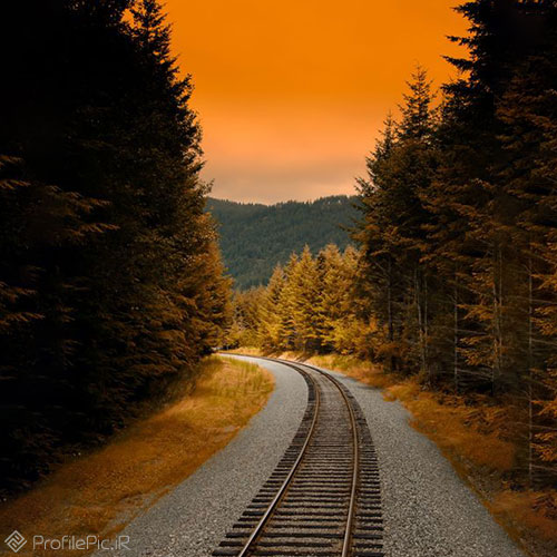عکس ریل قطار در جنگل